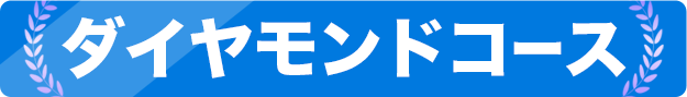 ダイヤモンドコース詳細